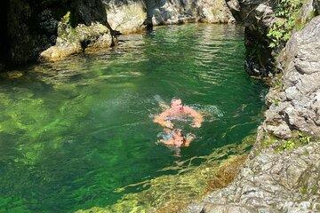 Lynn Canyon Nature Tour Hike, Swim, and Explore with a Local