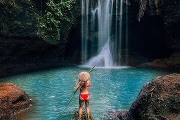 Bali Private Shore Excursion for Cruise Passengers All Inclusive