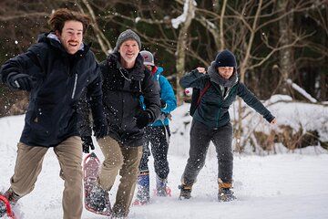 Snowshoeing and Coffee Tour in Takayama