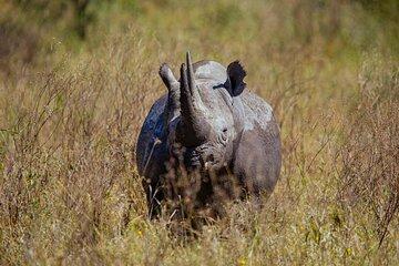 5 Day Adventure of Northern Wild Wonders of Tanzania