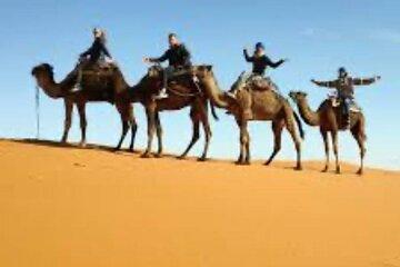 Adventure on the Edge of the World