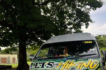 Wingfield Phillips Rain Forest Nature Trail Adventure