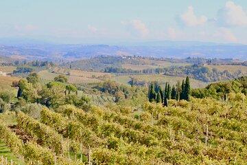 Tuscany: San Gimignano & Lunch with tasting in a Chianti Winery