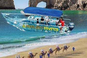 Camel Ride and Arch Tour with Tequila Tasting in Cabo San Lucas