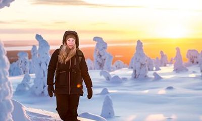 Riisitunturi National Park Car Tour from Rovaniemi