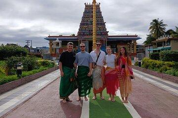 Discover Nadi with Sabeto Hotspring and Mudpool Tour