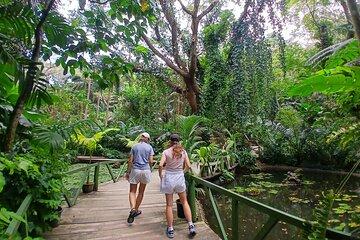 Garden of Sleeping Giant with Sabeto Hotspring Mudpool Tour