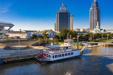 Mobile Harbor Scenic Ships and Port Tour