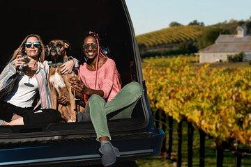 Dog Friendly Wine Tour in Private Luxury SUV