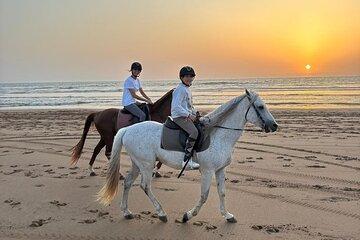 Essaouira Beach Horseback or Camel Ride
