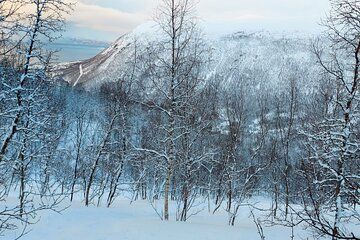 Guided Tromsdalen Snowshoe Adventure Starts Here
