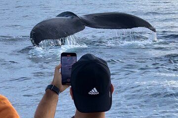 Oahu Boat Tour Ko Olina Experience