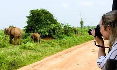 Yala Safari Day Trip from Bentota/ Kalutara/ Ahungalla/ Hikkaduwa