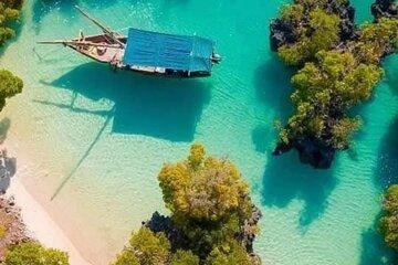 safari blue adventure with Lunch