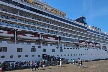 Tour of Agadir at Check-out from the Port