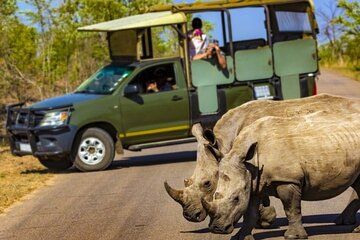 Shared Durban City Sightseeing Tour