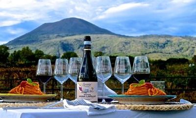 Private Vesuvio Wine and Food Tasting Experience