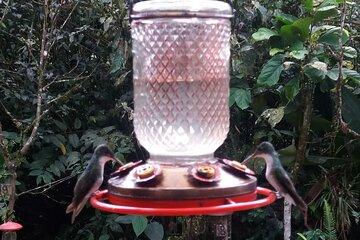 Mindo and Half of the World Full Day Private Tour with Tickets