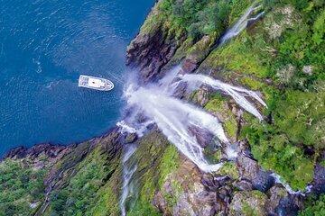 TeAnau to Queenstown via Milford Sound Tour with Cruise and Lunch