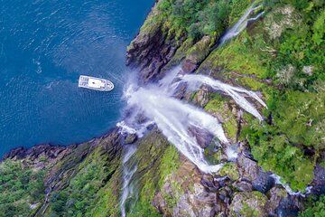 TeAnau to Queenstown via Milford Sound Tour with Cruise and Lunch