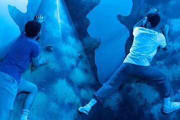 United Arab Emirates Prison Island Dubai Entry Ticket