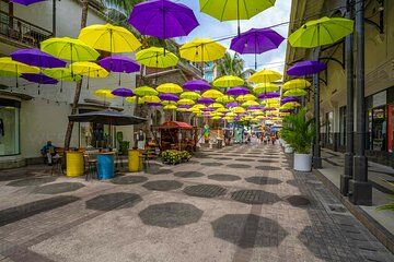 North Mauritius Adventure and Sightseeing Tour