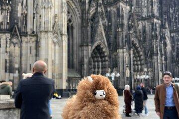 Private Day Tour Aachen Cologne from Brussels