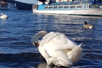 City Sightseeing Guide Tour
