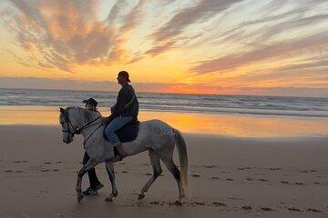 Magical Sunset Beach Ride in Taghazout Bay