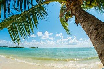 Catlina Island | Free Diving and Transportation