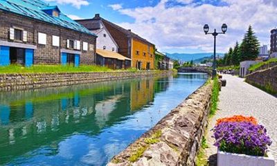 Private Shore Tour: Otaru Highlights & Scenic Blue Cave Cruise