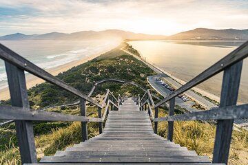Bruny Island Day Tour Scenic Views And Local Tastings