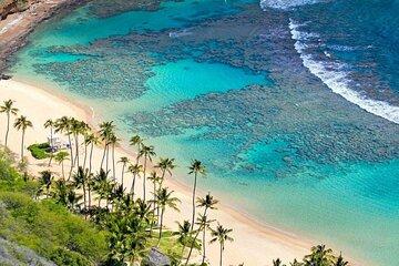 From Hoi An: Cham Islands Snorkeling Tour with Relaxing Beach