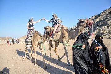 Came Ride 1-Hour in the Amazing Desert with Transfer :Marsa Alam
