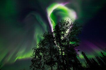 Aurora Borealis Experience Night Edition