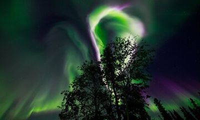 Aurora Borealis Experience Night Edition
