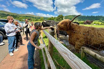 Private Shore Excursion-Castles, Highland Coos and Whisky Tasting