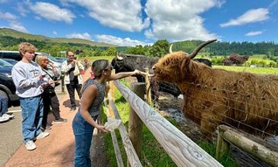 Private Shore Excursion-Castles, Highland Coos and Whisky Tasting