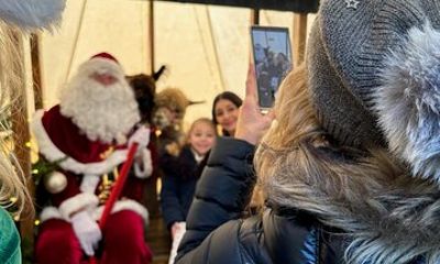 Christmas with the Alpacas at Wetley Moor Alpacas