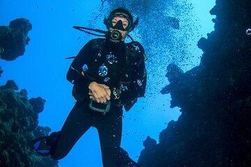 Full Day Hamata & Qulaan Islands Diving Trip & Lunch :Marsa Alam