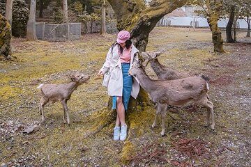 Nara Unlocked With a Private Car Tour from Kyoto by Guide