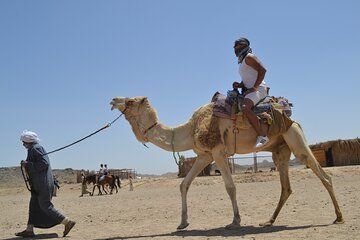 2 Hours Camel Ride in Stunning Desert & Sea W/Transfer :Hurghada