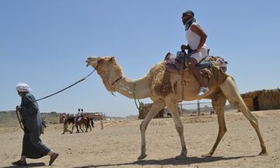 2 Hours Camel Ride in Stunning Desert & Sea W/Transfer :Hurghada