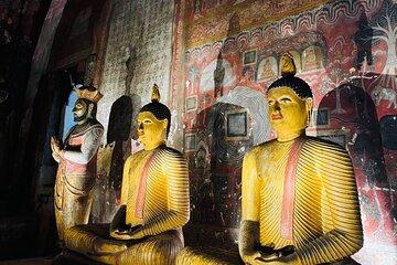 Cultural Triangle and Wildlife Safari 3 Days 2 Nights tour