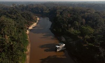 Amazon Expedition Pink Dolphins Caimans and Jungle Life Bolivia