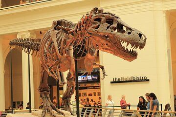 Chicago Field Museum Ticket and Audio Tour on Your Phone