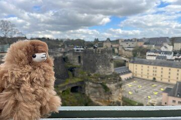 Luxembourg Private Guided Day Tour from Brussels