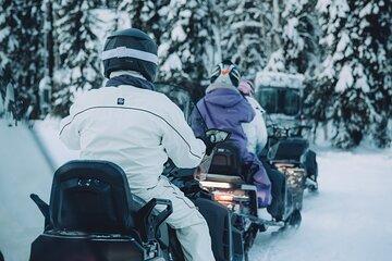 Forest Snowmobile Tour in Alaska