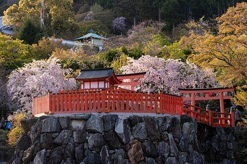 Minoh Katsuoji Temple Walking Tour with Local Guide