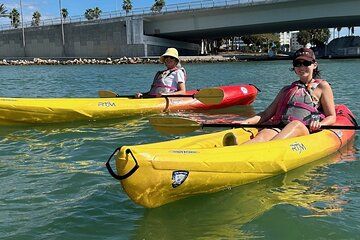 Single Kayak Rentals at The Bay